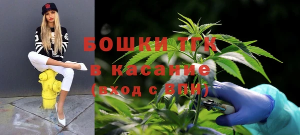 шишки Белоозёрский