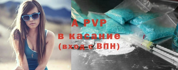 шишки Белоозёрский