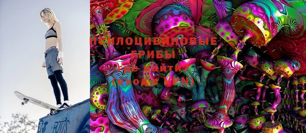 шишки Белоозёрский