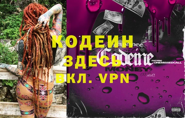 шишки Белоозёрский
