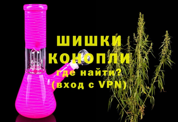 шишки Белоозёрский