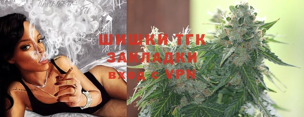 шишки Белоозёрский
