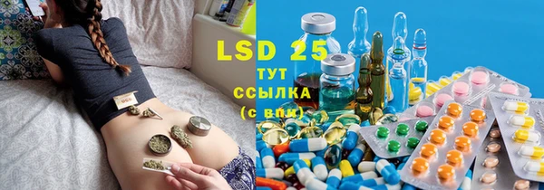 шишки Белоозёрский