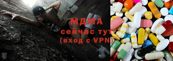 шишки Белоозёрский
