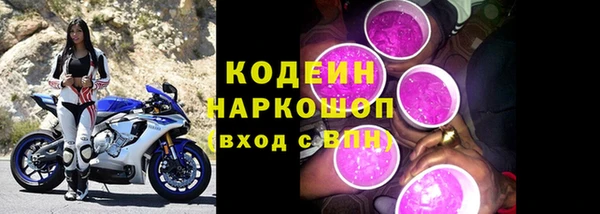 шишки Белоозёрский