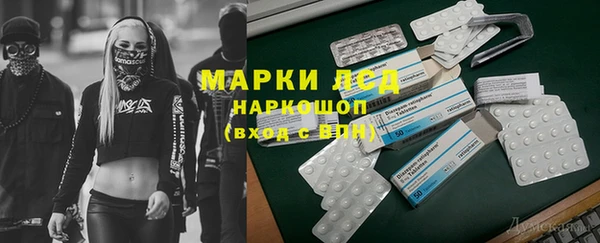 шишки Белоозёрский